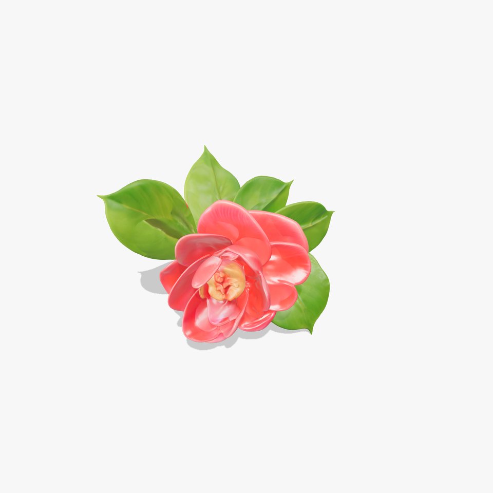Crimson Camellia Blossom model pack
